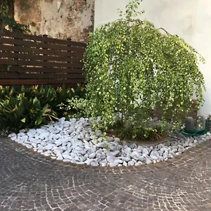 Apartment La Betulla, Mantua
